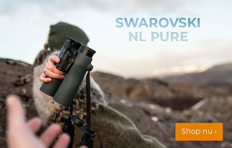 Swarovski NL Pure